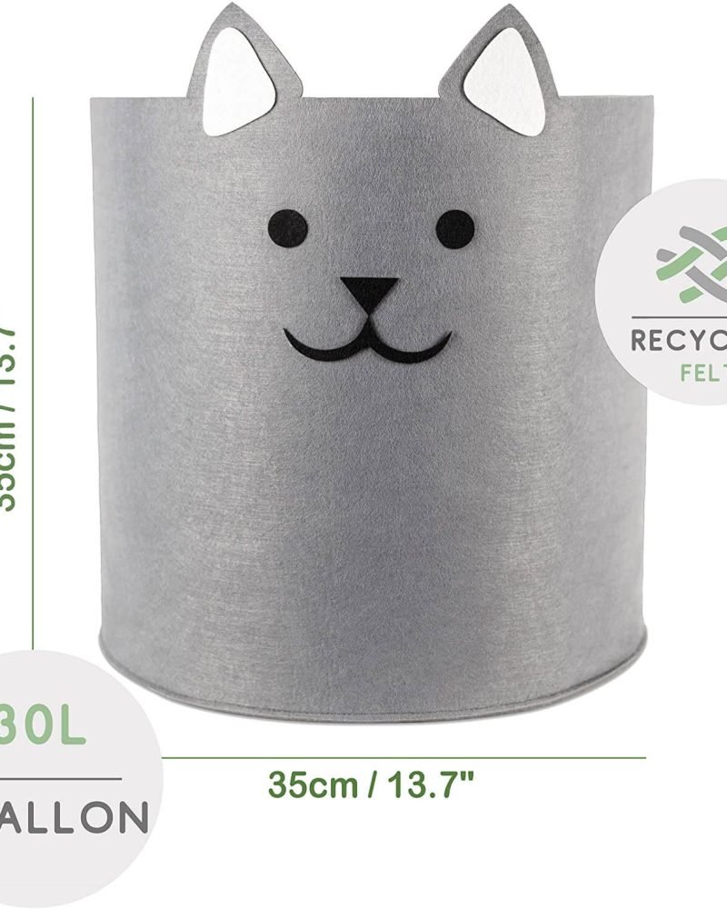 81a8NrzL2hL._AC_SL1500_